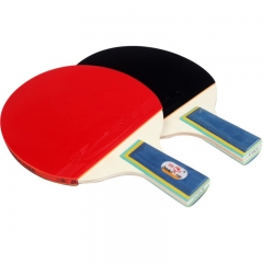 Economy Table Tennis Racket Set for Entertainment